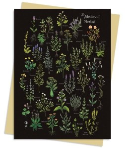 KARNET B6 ŚREDNIOWIECZNY ZIELNIK