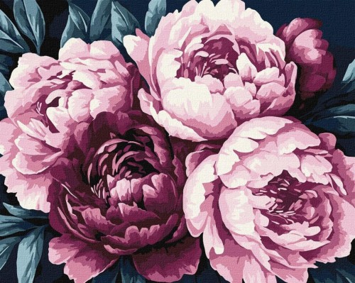 Malowania po numerach - Płatki kwiatów 40x50cm