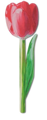 Zakładka do książki kwiaty - Malowany tulipan, IF