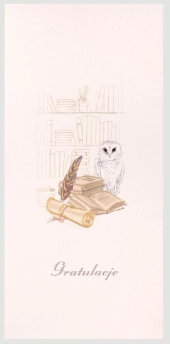 Karnet Gratulacje DL AB01 - Sowa