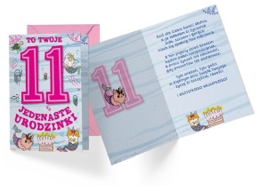 KARNET B6 PR-311 URODZINY 11