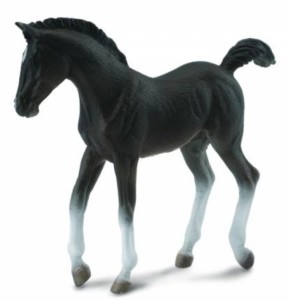 ŹREBIĘ CZARNE SPACERUJĄCE, COLLECTA