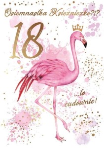 KARNET B6 PR-099 URODZINY 18 FLAMINGI
