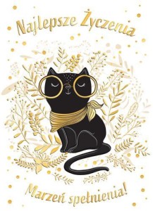 KARNET B6 KOT OKULARACH