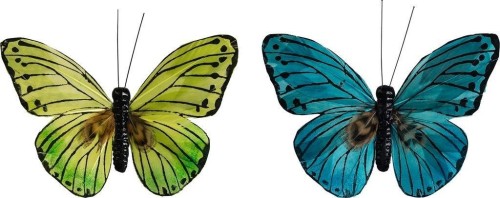 Motyle z klipsem 2szt