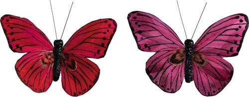 Motyle z klipsem 2szt