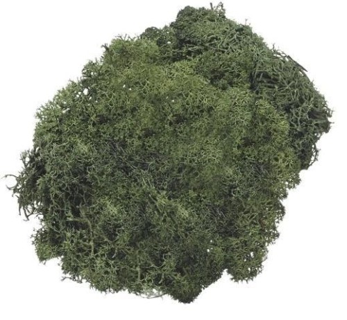 Mech dekoracyjny ciemnozielony 50g