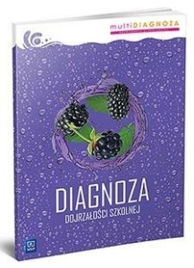 DIAGNOZA DOJRZAŁOŚCI SZKOLNEJ, PRACA ZBIOROWA