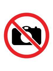 PUZZLE 24 KROWA NA FARMIE, TREFL