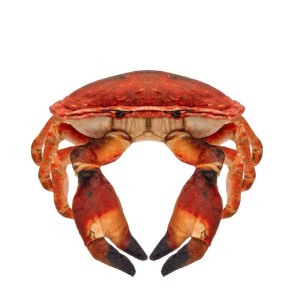 KRAB SŁONOWODNY 26CM, BEPPE