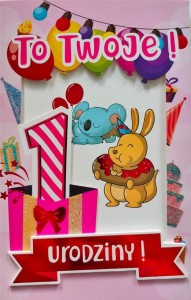 KARNET ROCZEK DZIEWCZYNKA 6K - 017