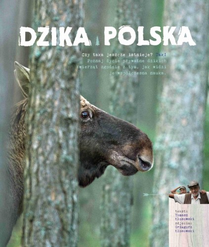 Dzika Polska, Tomasz Kłosowski