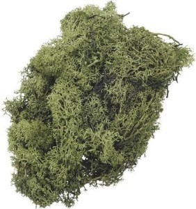 MECH DEKORACYJNY ZIELONY 50G