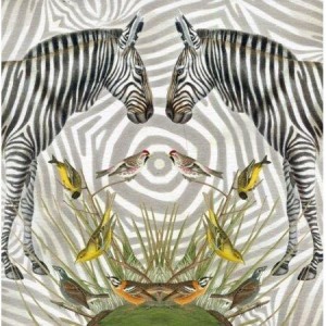 KARNET KWADRAT Z KOPERTĄ ZEBRA