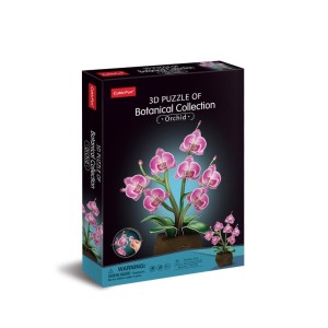 CUBIC FUN ORCHIDEA, CUBIC FUN