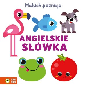 MALUCH POZNAJE. ANGIELSKIE SŁÓWKA