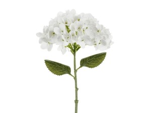 HORTENSJA BIAŁA 35CM