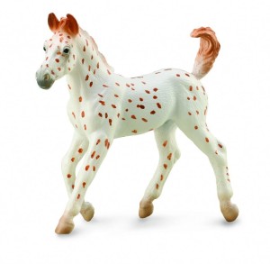 ŹREBIĘ KNABSTRUPPER, COLLECTA