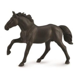 OGIER NONIUS, COLLECTA