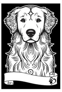 KOLOROWANKA WELWETOWA A4 GOLDEN RETRIEVER