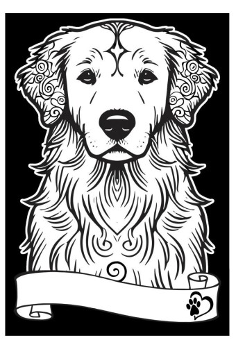 Kolorowanka welwetowa A4 Golden retriever