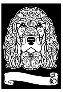 KOLOROWANKA WELWETOWA A4 COCKER SPANIEL