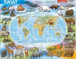 PUZZLE RAMKOWE - ŚWIAT FIZYCZNA, DEMART