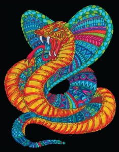 KOLOROWANKA WELWETOWA 47X35CM KOBRA