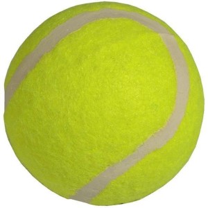 PIŁKA TENIS ZIEMNY ŻÓŁTA, VICTORIA SPORT