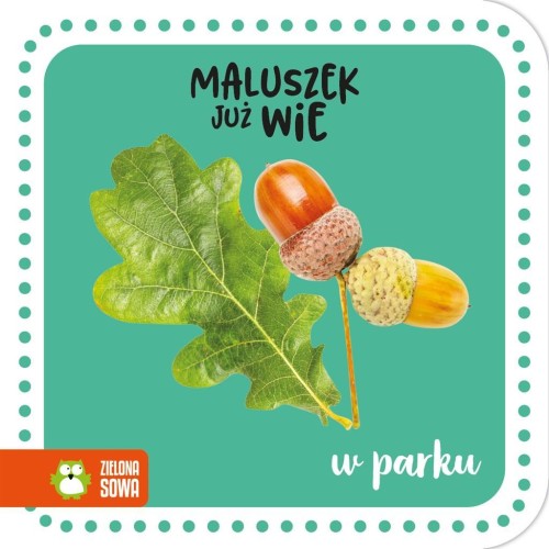 Maluszek już wie. W parku, praca zbiorowa