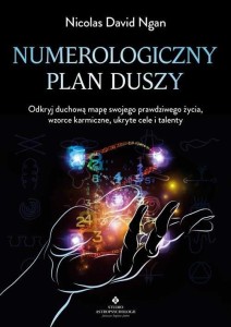 NUMEROLOGICZNY PLAN DUSZY, NICOLAS DAVID NGAN