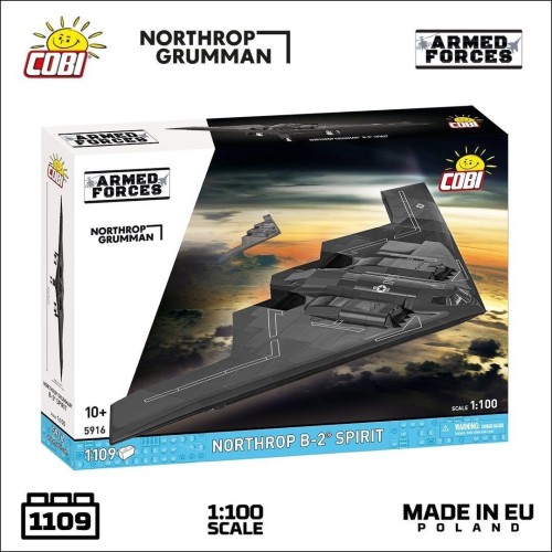 Northrop B-2 Spirit, Cobi
