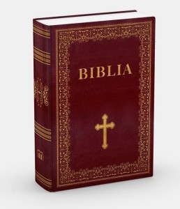 BIBLIA EDUKACYJNA W OBWOLUCIE KOMUNIJNEJ