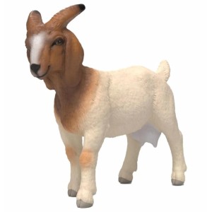 KOZA RASY BOER, SCHLEICH