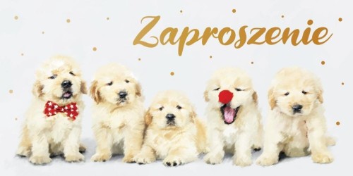 Zaproszenie Dziecięce Z139 (5szt)