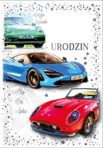 KARNET DK-1227 URODZINY (WYMIENNE CYFRY)