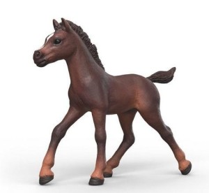 ŹREBAK RAVI, SCHLEICH