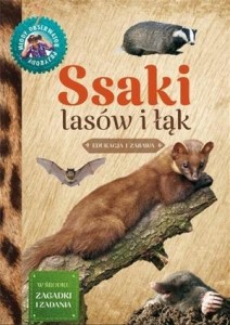 MŁODY OBSERWATOR PRZYRODY - SSAKI LASÓW I ŁĄK