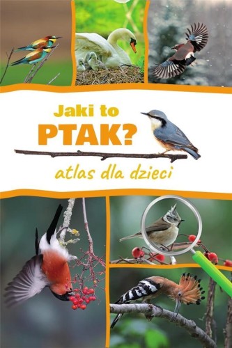 Jaki to ptak? Atlas dla dzieci, Dominik Marchowski