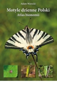 MOTYLE DZIENNE POLSKI. ATLAS BIONOMII TW W.2021