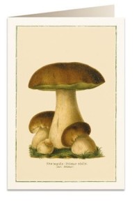 KARNET B6 + KOPERTA 6096 BOROWIKI