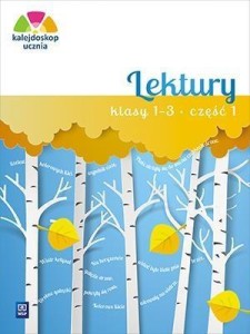 KALEJDOSKOP UCZNIA. LEKTURY KL.1-3 CZ.1 WSIP