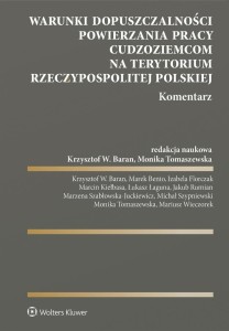 WARUNKI DOPUSZCZALNOŚCI POWIERZANIA PRACY..