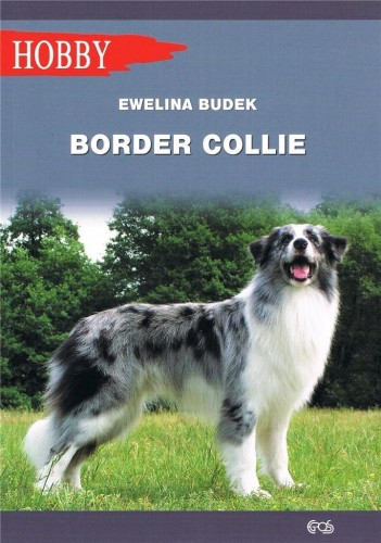 Border Collie w.2020, Ewelina Budek