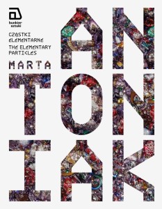 CZĄSTKI ELEMENTARNE, MARTA ANTONIAK