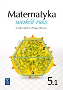 MATEMATYKA WOKÓŁ NAS SP 5/1 ĆW. WSIP