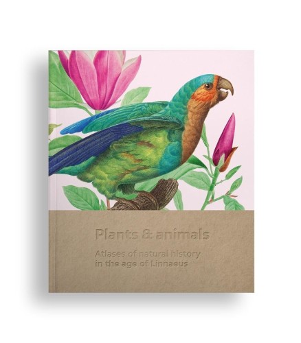 Plants and animals, praca zbiorowa