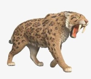 TYGRYS SZABLOZĘBNY, SCHLEICH