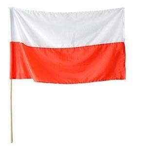 FLAGA NARODOWA NA DRZEWCU
