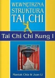 WEWNĘTRZNA STRUKTURA TAI CHI. TAI CHI CHI KUNG I